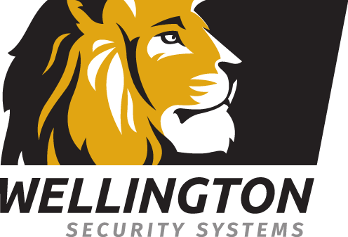 Business Security Systems Minneapolis - Wellington Security Systems
