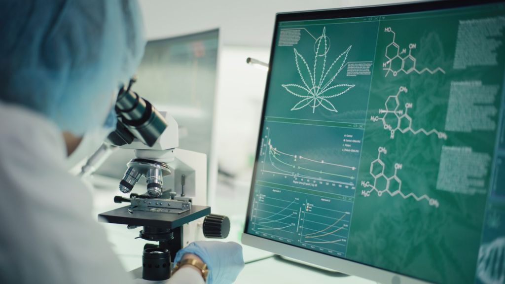 cannabis security system