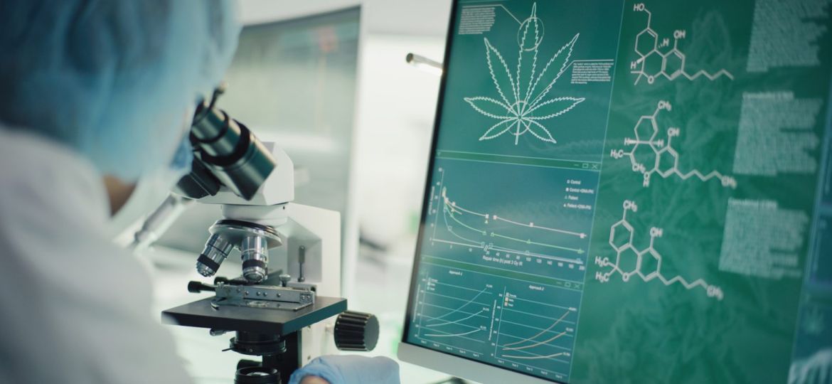 cannabis security system