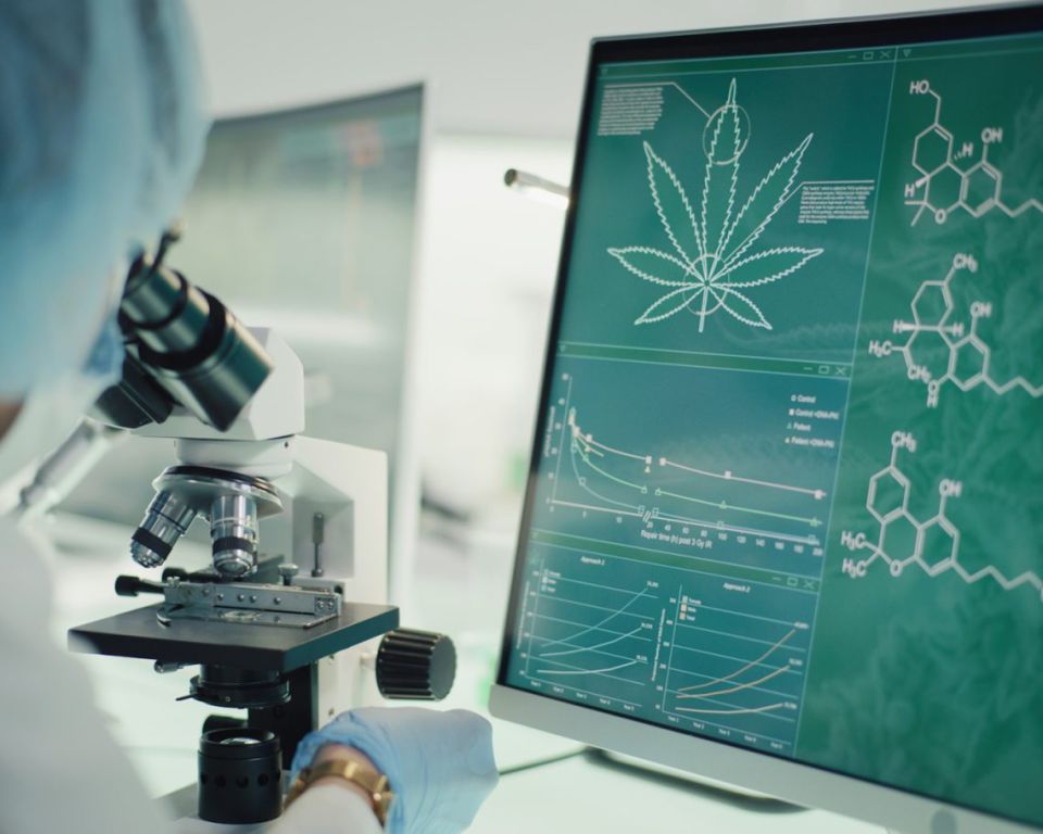 cannabis security system